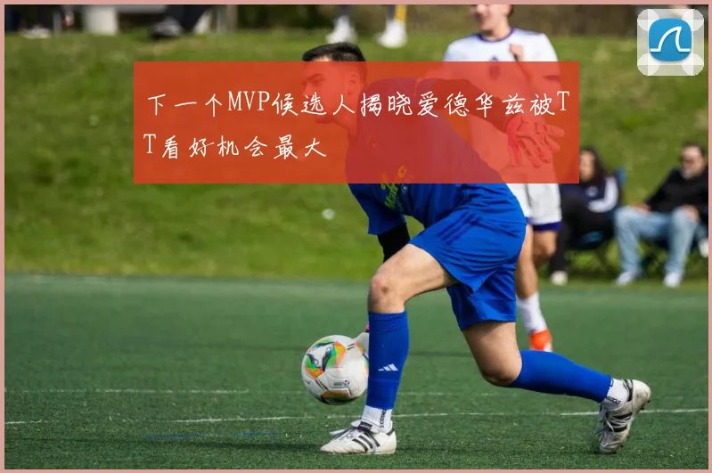 下一个MVP候选人揭晓爱德华兹被TT看好机会最大