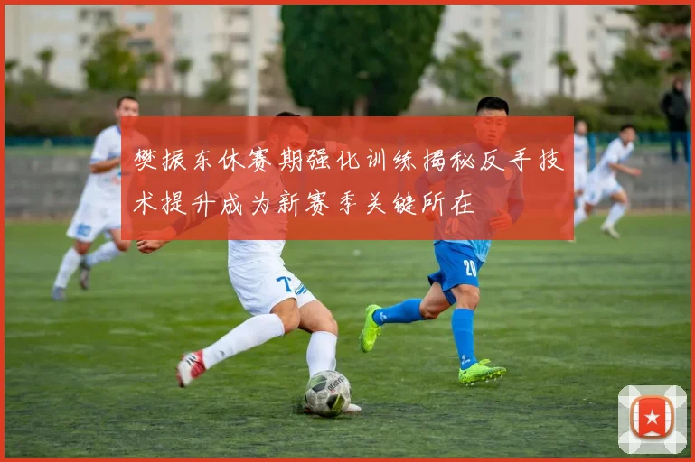 樊振东休赛期强化训练揭秘反手技术提升成为新赛季关键所在